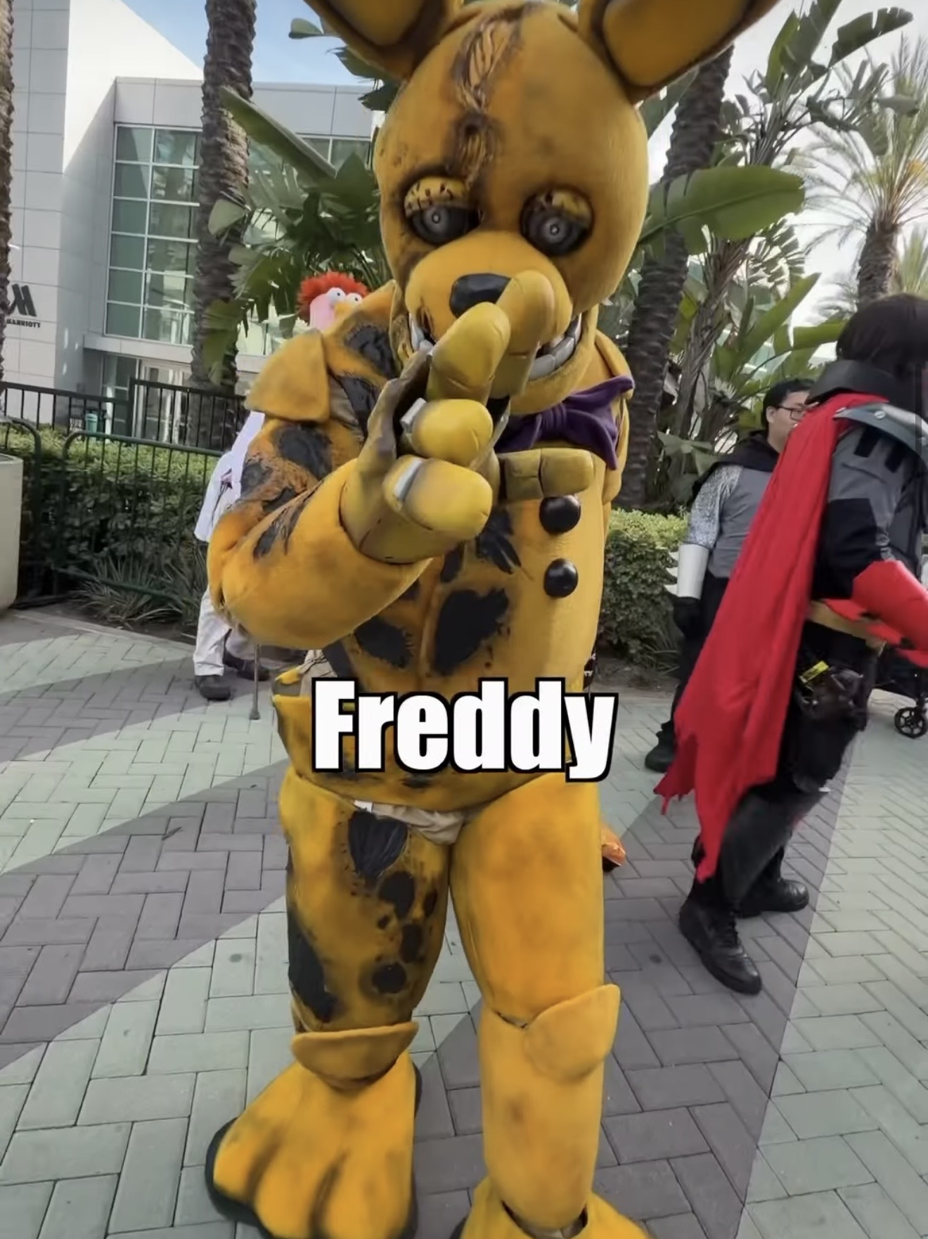 SDCC style